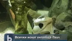 Октоподът Паул остава в Германия
