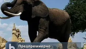 Слонове участват в пясъчния фестивал в Бургас