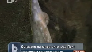 Октоподът Паул не се продава!