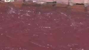 Владайската река тече червена
