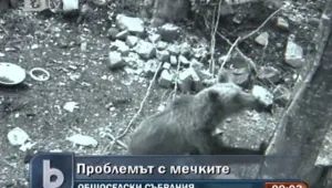 Събрания в Смолянско ще разясняват за съжителството между човека и мечката