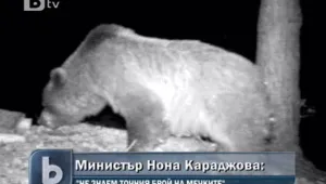 В Смолянско започна разяснителна кампания за мечките