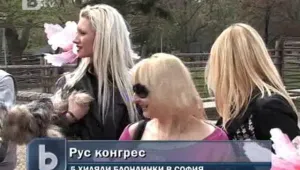 Блондинките се събират на конгрес в София
