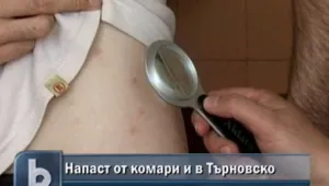 Започва пръскането срещу комари в Дунавските общини