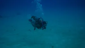 Учени откриха подводна река на дъното на Черно море