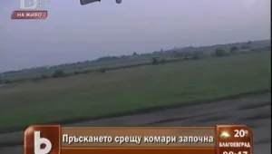В Русе започна пръскането срещу комари