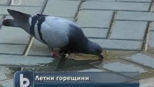 В Югозападна България регистрираха най-високите температури за седмицата