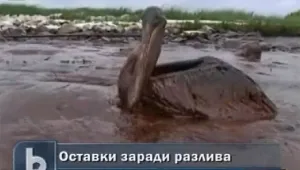 Предстоят оставки заради екокатастрофата в Мексиканския залив