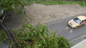 Варна отново под вода 