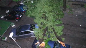 Ураганен вятър премина през Варна 
