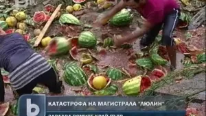 ТИР с плодове се заби в стълб на АМ 