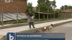 Ще се оправят ли в Кърджалийско с интегралните бюлетини? 