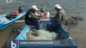 Ниското ниво на водата в Дунав гони рибата
