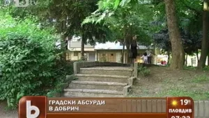 В Добрич изкореняват дървета, за да строят... гаражи 