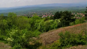 Откриха мъртъв мъжа, изчезнал край село Дивотино