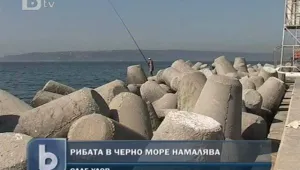  Слаб сезон за рибарите