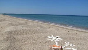 Забраниха къпането на плаж в Дубровник заради мръсна вода 