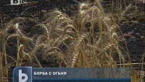 Бум на пожарите заради жегите