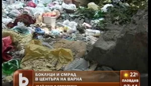 Живот до боклуци и смрад в центъра на Варна
