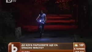 Докога ще тънат в мрак столичните паркове? 