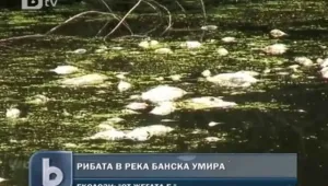 Жегата избива рибата в Хасковско