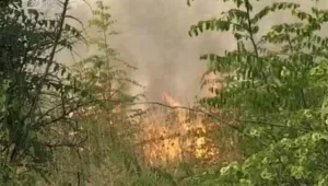 Пламъци на границата: 2000 декара горяха край Лесово