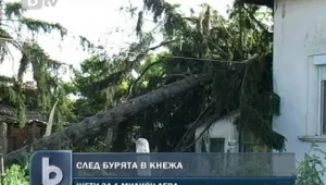 Кнежа след бурята: Паднали дървета, разрушени покриви и изпочупени прозорци 