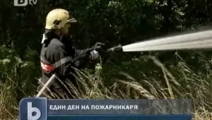 Над 800 пожара само в София за половин година 