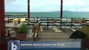По Черноморието - 1000 трудови нарушения само за месец