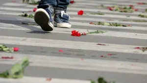 Кой е виновен за инцидентите на пешеходна пътека? 