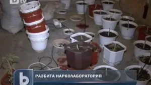 Разбиха нарколаборатория в Момчилград 