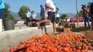 Започват масови проверки за качеството на гръцките зеленчуци