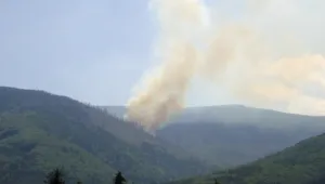 Борисов обеща изгасена Витоша до 3 часа