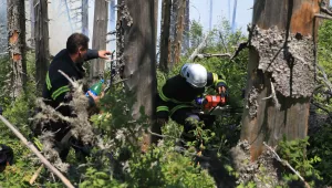 Пожарникари предотвратили разпалване на нови огнища