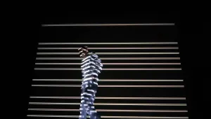 Sofia Dance Week леко повдига завесата