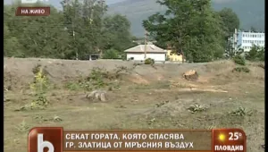 В Златица хората протестират срещу изсичането на гора