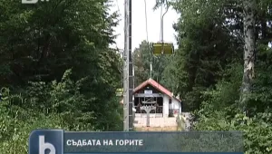 Консенсус по Закона за горите