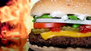 В САЩ празнуват Junk Food Day*