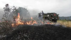 Пламнаха 1 000 дка гора в Хасковско