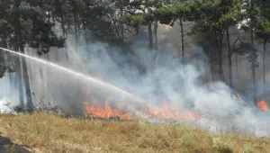 Огромен горски пожар бушува край с. Мурсалево