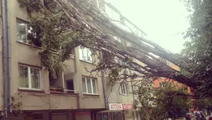 Три дни след ледената канонада, София още е опасна