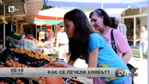 Многолюдно семейство, в което всички работят