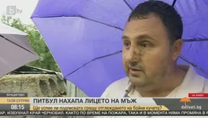 Брацигово скочи срещу отглеждането на бойни кучета