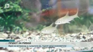 Откриха приют за бездомни рибки в Смолян