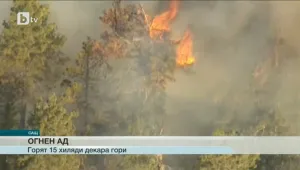 Горещини предизвикаха масивни горски пожари в Калифорния