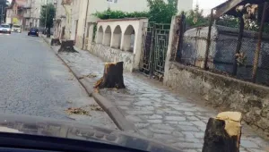 Защо главна улица във Велинград остана без дървета