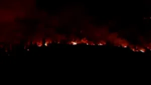 Рекордният по големина пожар в Каталуния е изгасен
