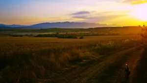Днес до 35.5°, утре още по-горещо