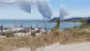 Пожар горя в Слънчев бряг
