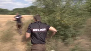 Въоръжени бракониери нападнаха горски служители при опит да ги задържат